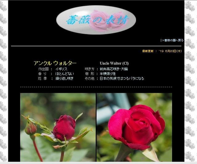 四季の庭_薔薇の園の詳細頁