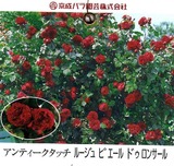 ピエールドゥロンサール