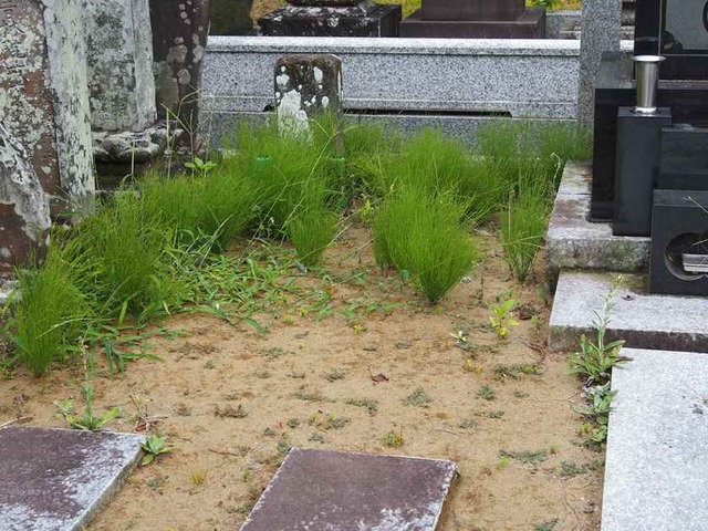 before_8.110512