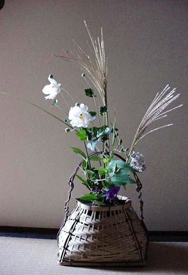 季(とき)の庭HP_貴船菊・尾花