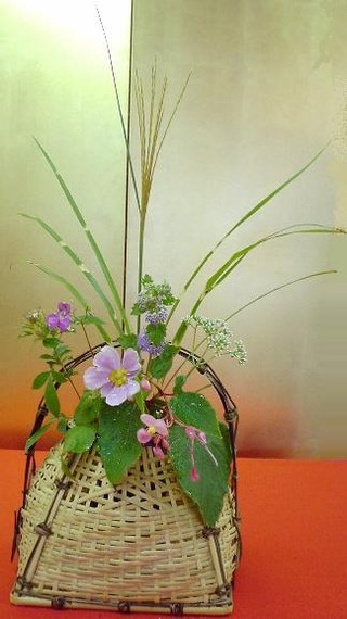 季(とき)の庭HP_尾花・秋海棠