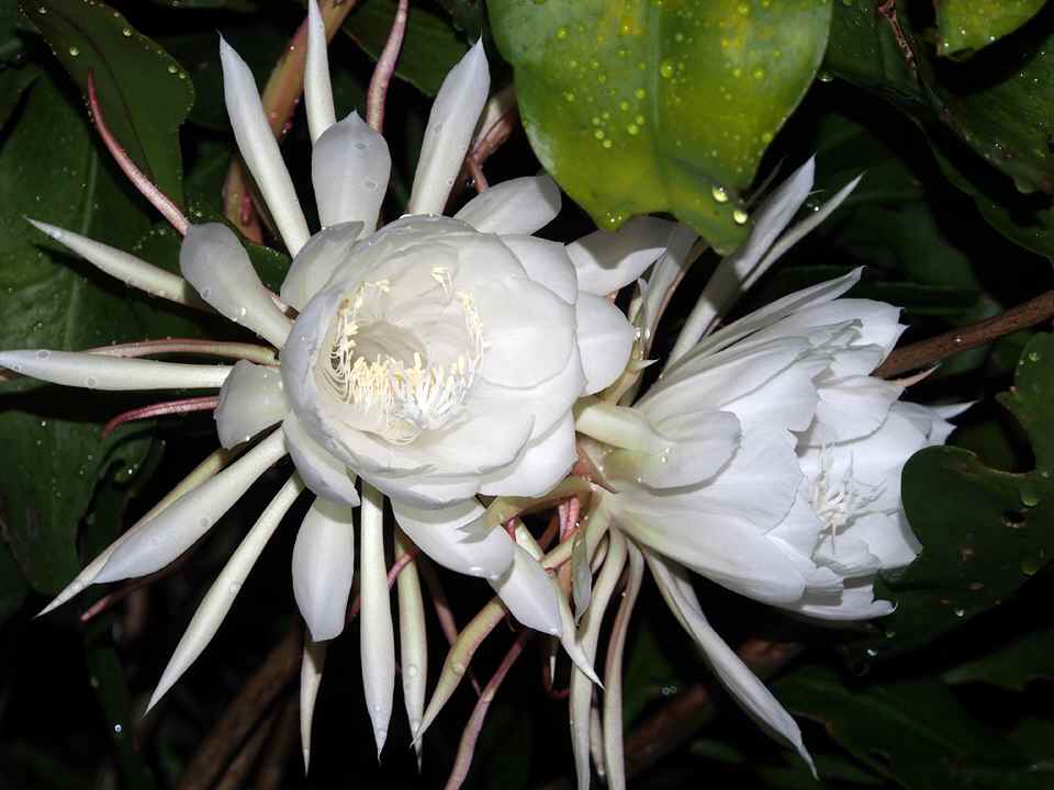 P8122007