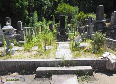 P8085493