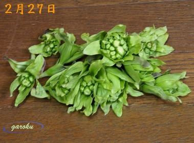 P2275273