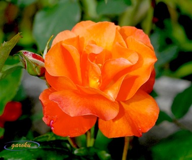 2.プリンセス・ミチコ (F)_2