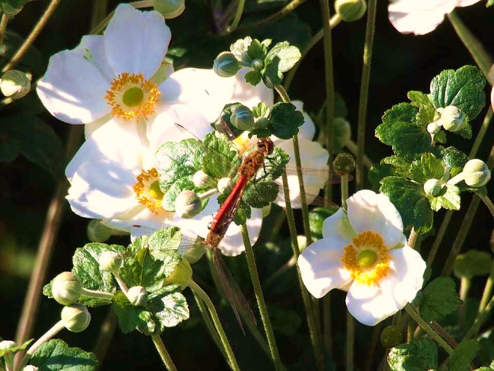 P9192061