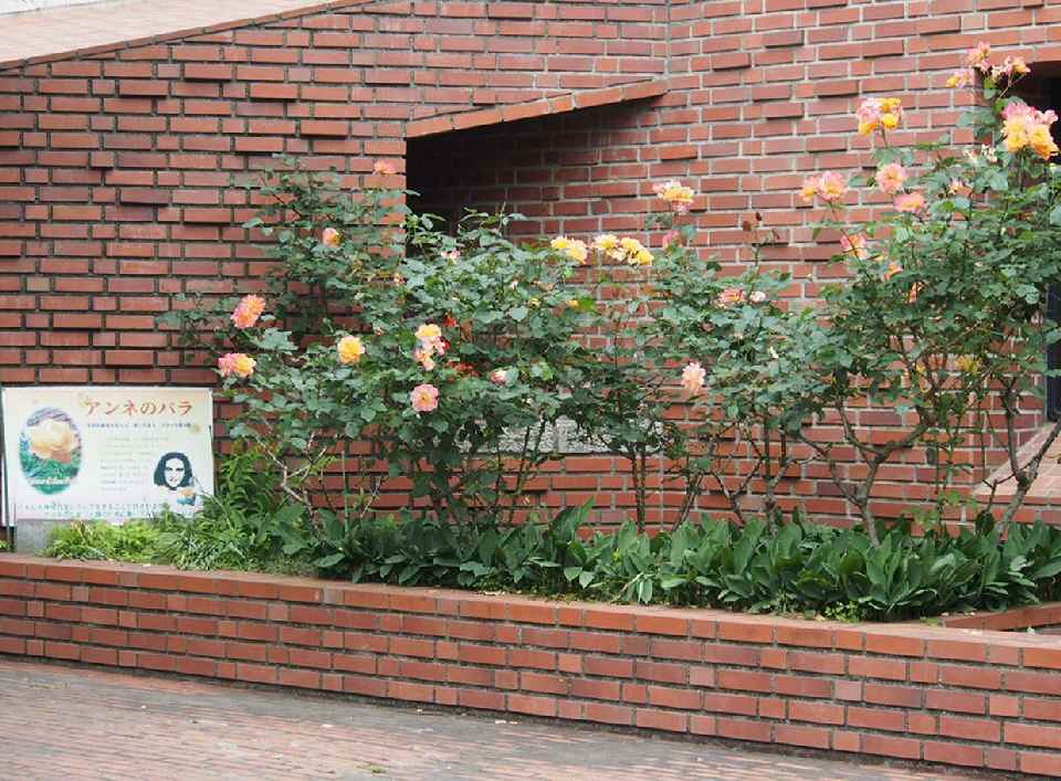 キリスト教大学校内