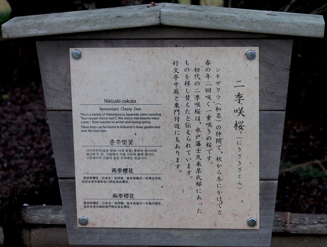 PB100074
