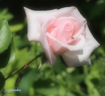 60.タイタニック(HT)_Up