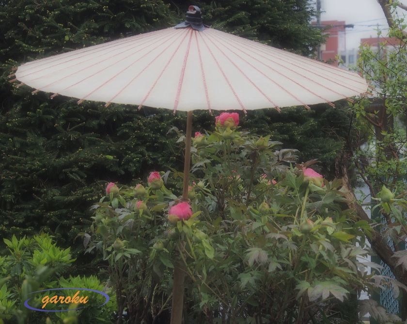 二階からのボタン