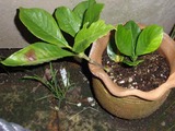 P7100261