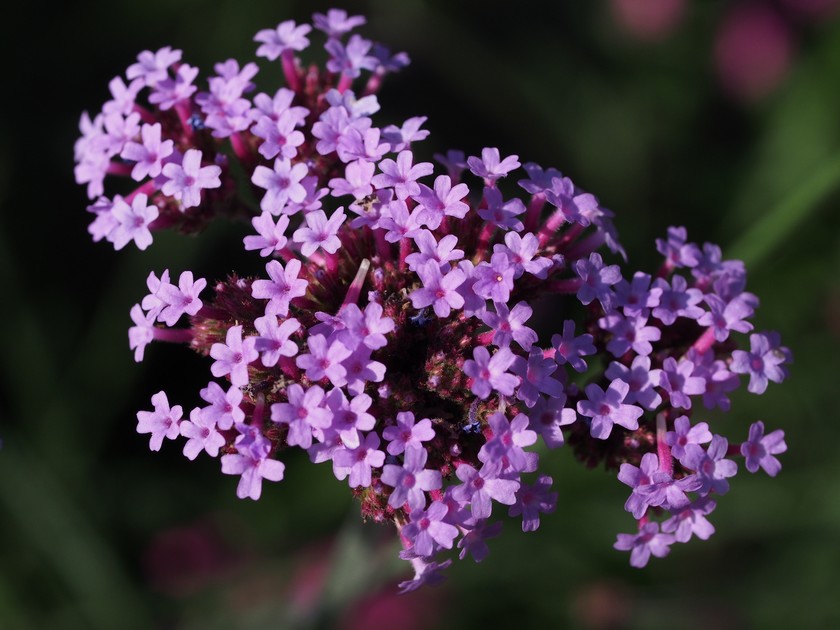 P7020358