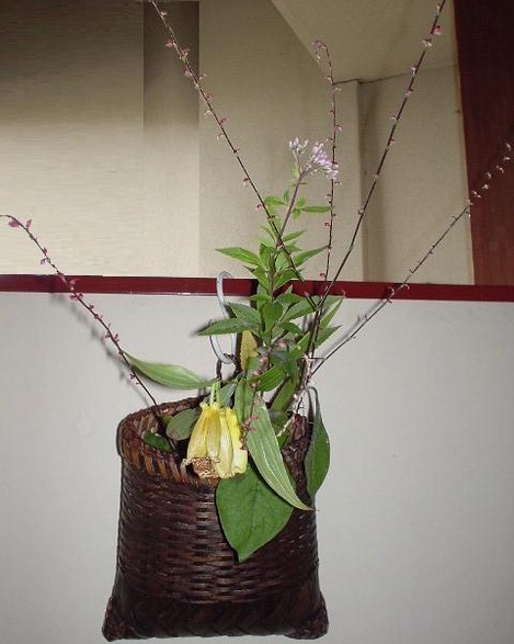 季(とき)の庭ＨＰ_水引