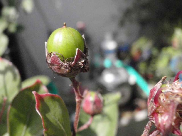 P9061117