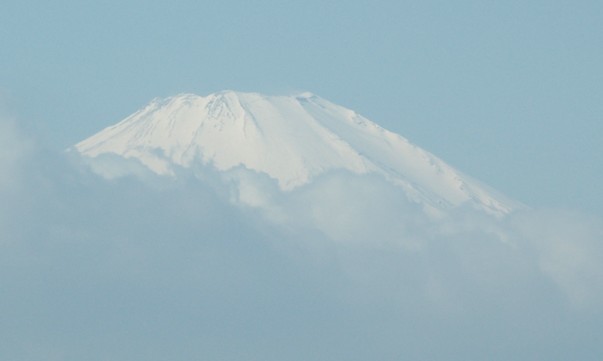 新幹線からの富士