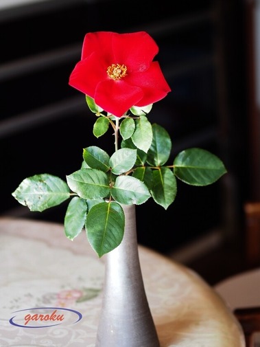 14.アルテシモ (LCI)