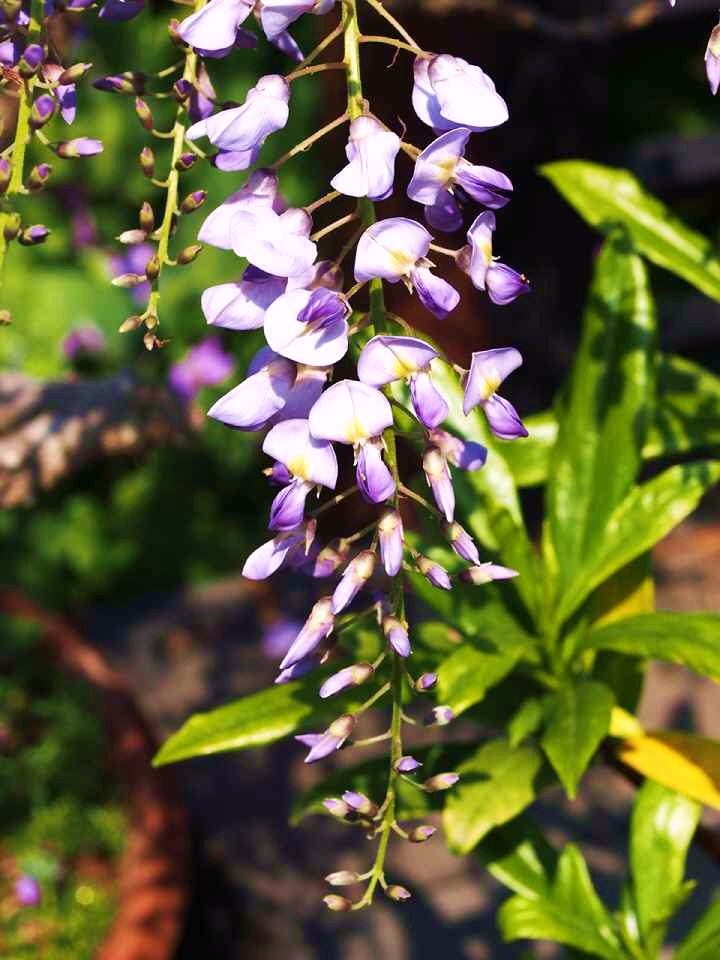 P4261330