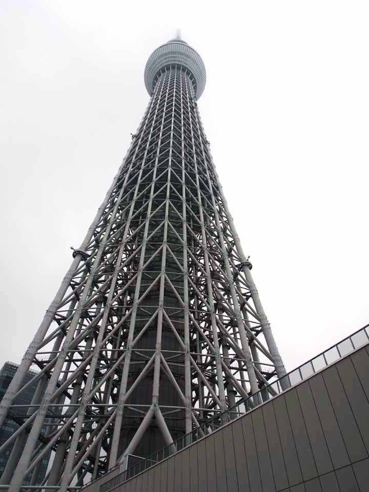 スカイツリ―