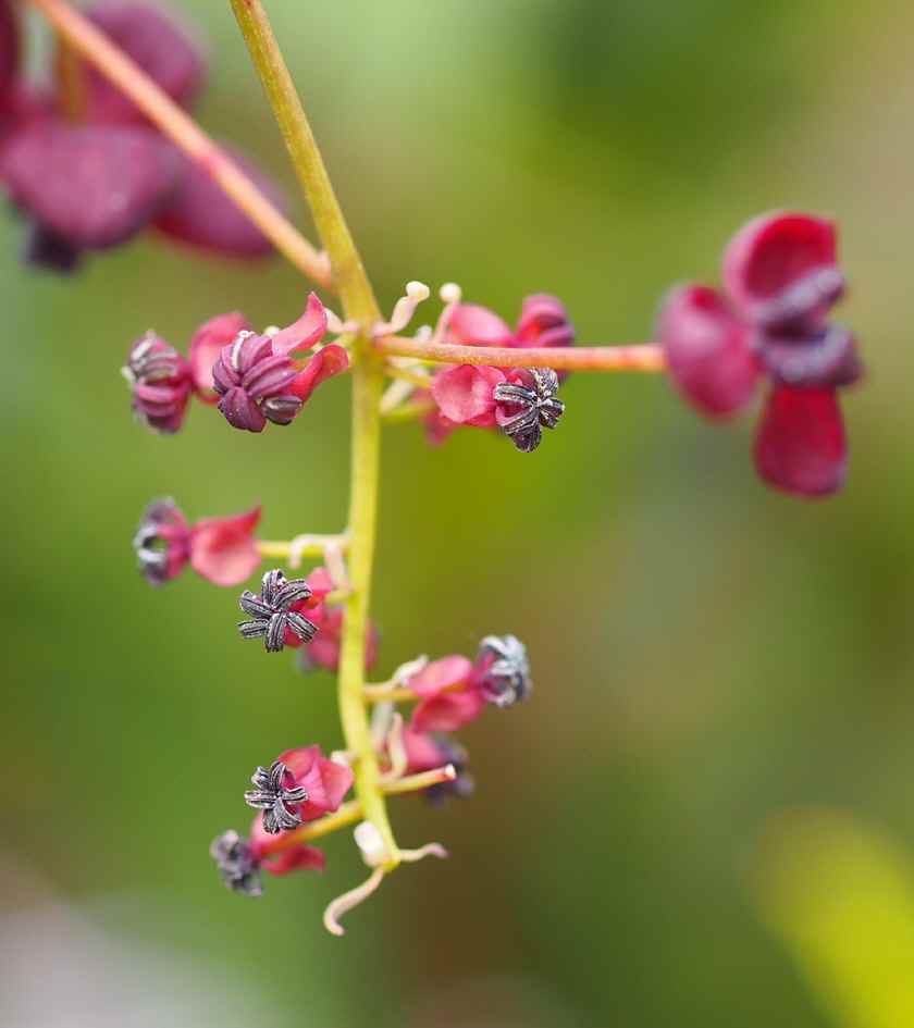 P4161280