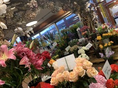 IMG-3694