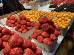 IMG-3683