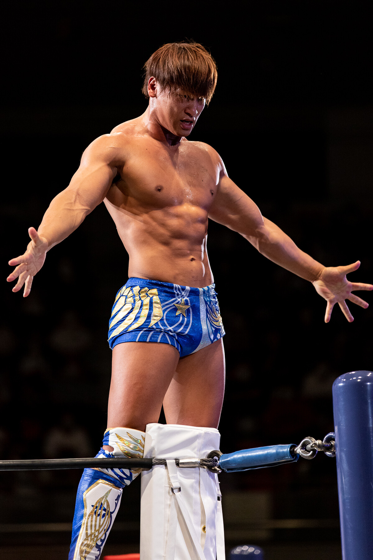 新日本プロレス 大阪府立１日目 G1 Aブロック のんびり快晴日和