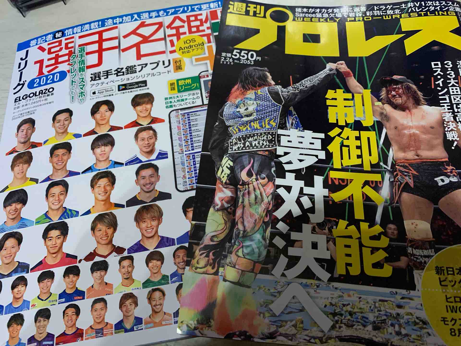 Jリーグ名鑑 のんびり快晴日和 Jリーグ名鑑 のんびり快晴日和