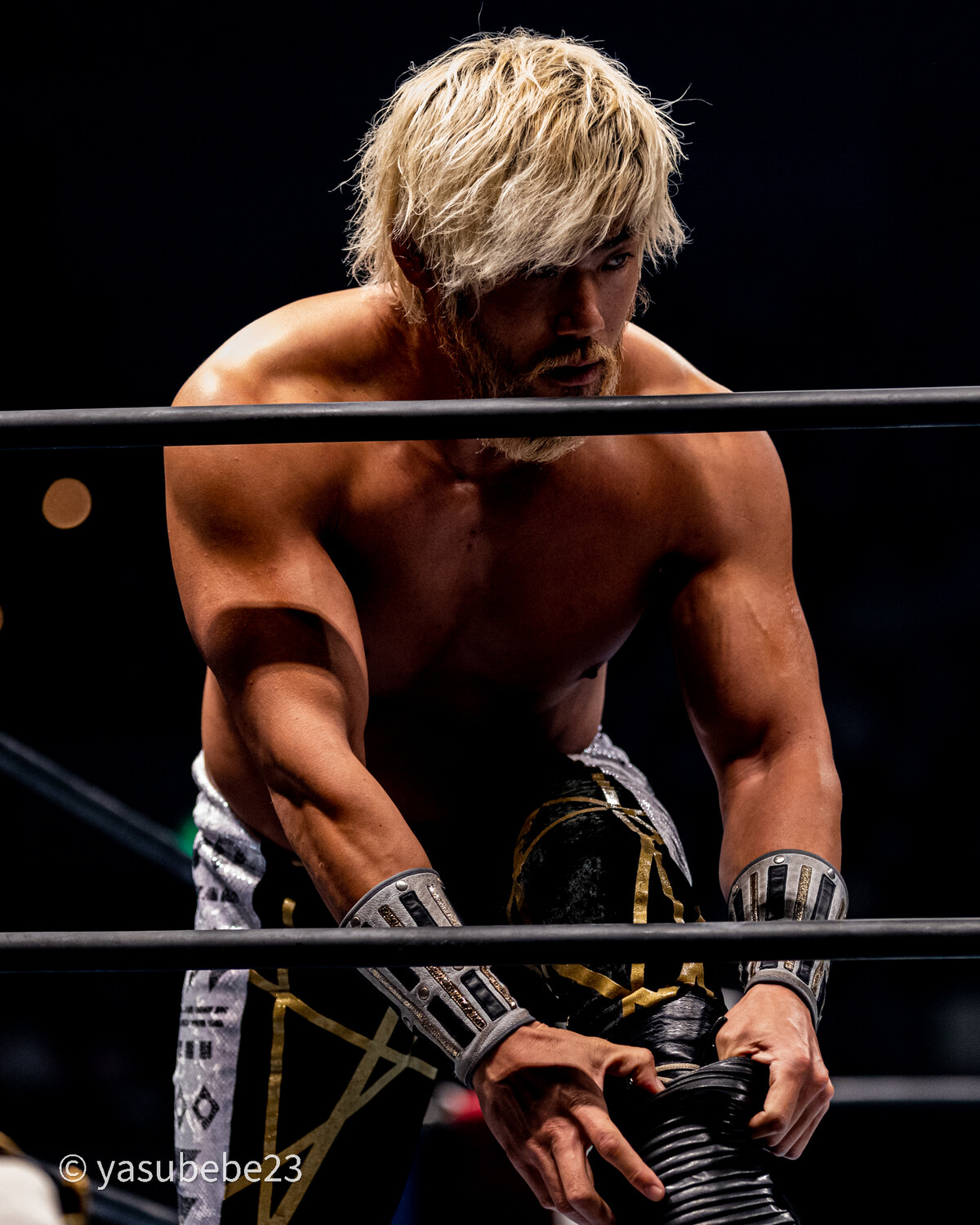 新日本プロレス 大阪府立第一大会 のんびり快晴日和