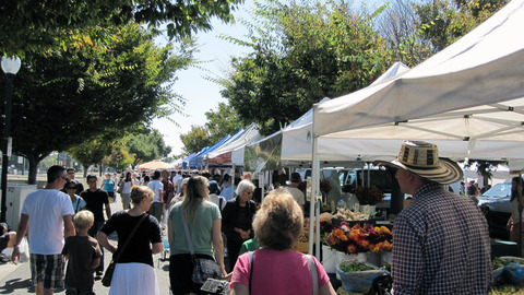 mv-farmers-market-11
