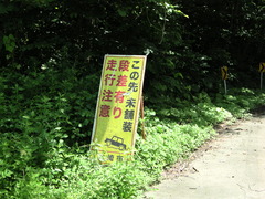 DSCN3582