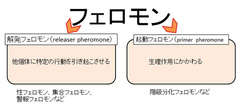 臭気判定士 試験対策 9 排出口試料と環境試料 嗅覚概論もちょっと これからのために コツコツと Day By Day For The Future 臭気判定士 試験対策 9 排出口試料と環境試料 嗅覚概論もちょっと これからのために コツコツと Day By Day For The Future