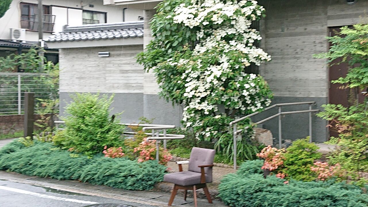 軽井沢ホテル鹿島の森で知ったヤマボウシ～「そんぽの家」修学院にも 