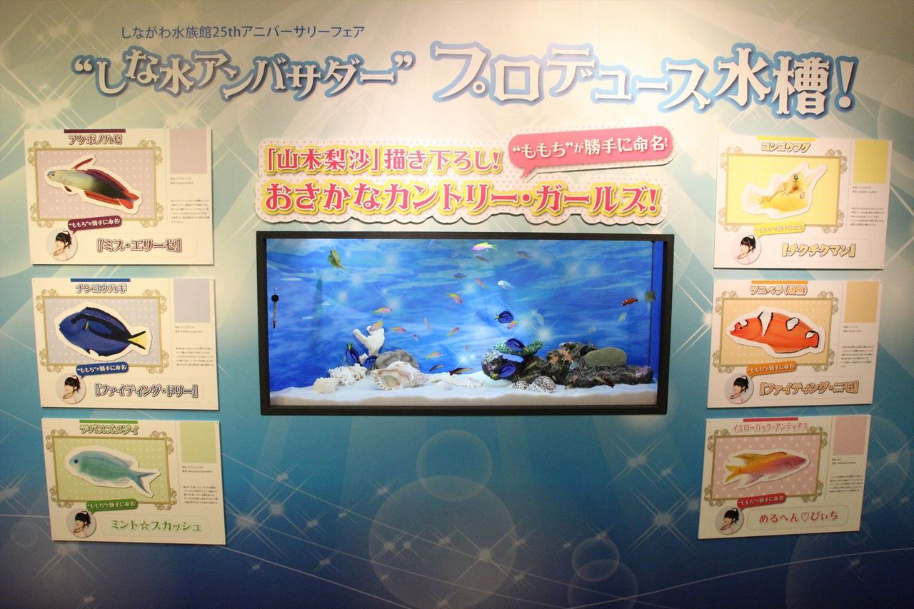 これ写真じゃなかったのかよwww ジェイアイドル これ写真じゃなかったのかよwww ジェイアイドル