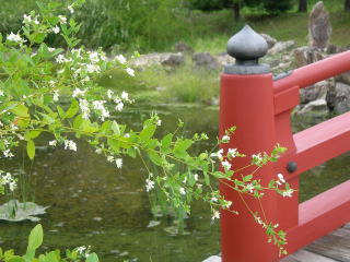 �챡��������ݶ�����