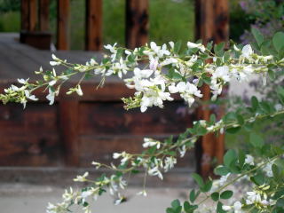 ���ɡʶ˳�˷�ˤ�����