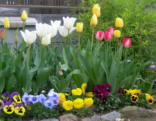 200��ǯ������