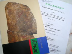 �ұ��ҿ�Ͽ��ξ�в���饷