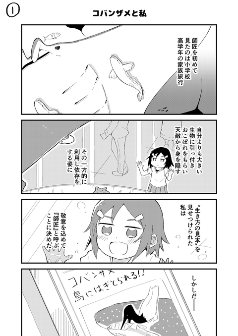 11_1_144