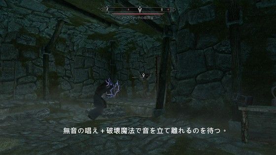 スカイリム Kiasisyoのblog