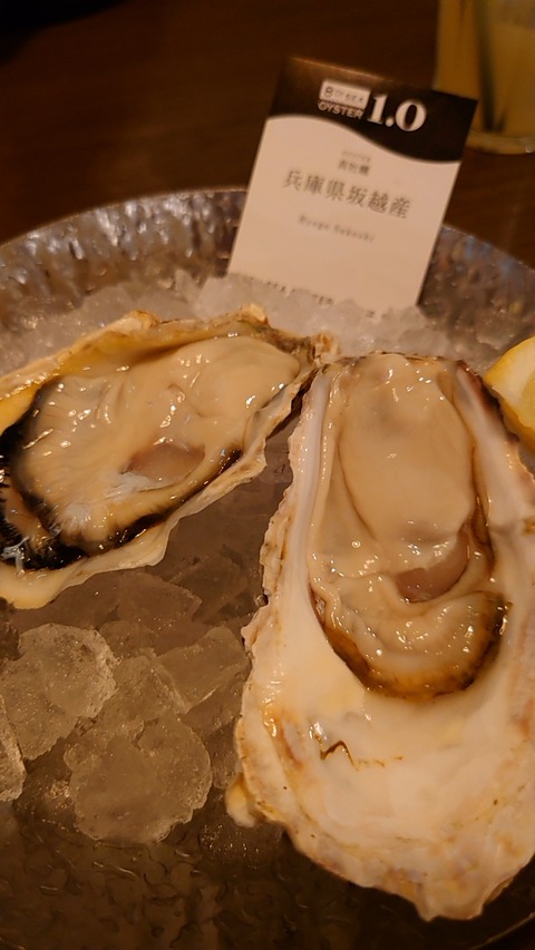 横浜駅西口 安心 安全 美味しい生牡蠣が楽しめるレストランのリーズナブルなランチ Always Dream気分