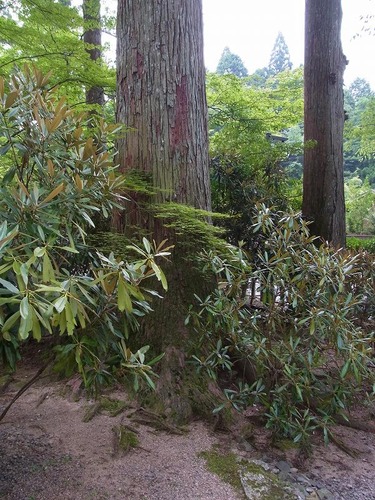 20120729cx (52)