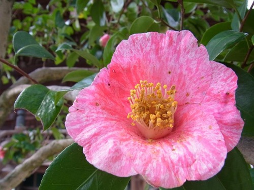 20120328 (9)