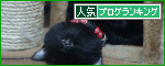短足ぶさ猫ぺちゃ猫ちょー美猫