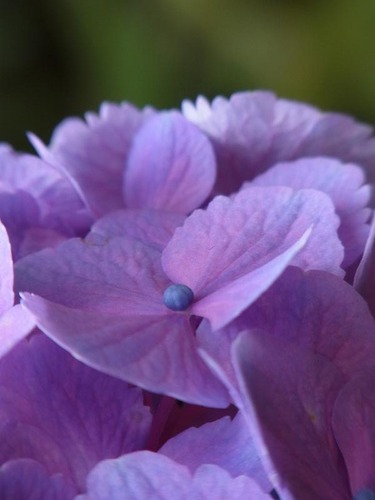 20120729cx (46)