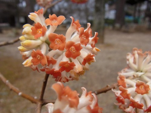 20120328 (36)