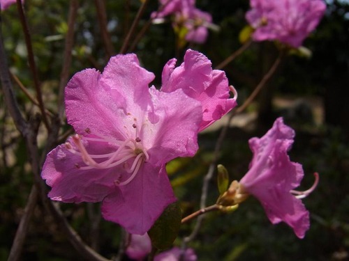 20120328 (12)