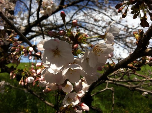 20120406i (3)