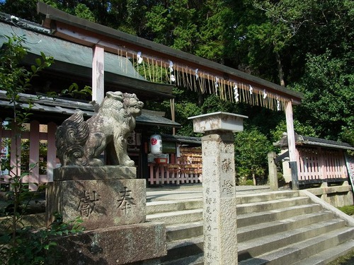 20110927 (6)