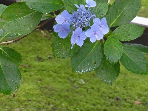 20120729cx (138)