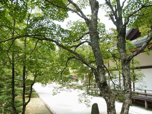 20120729cx (15)